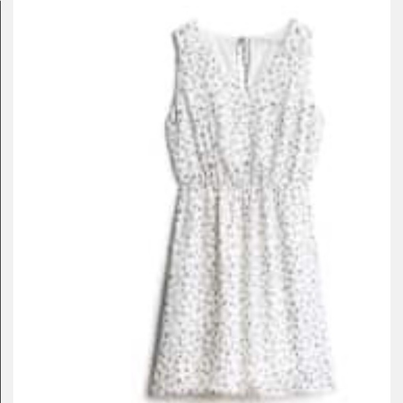 Collective Concepts dress - Picture 1 of 1